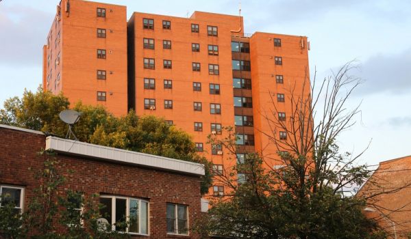 Public housing in Albany, NY