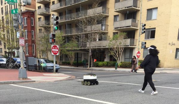 Delivery robot