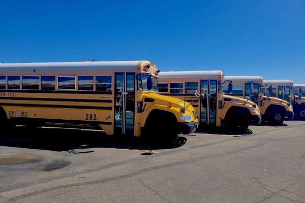 Row of buses in parking lot