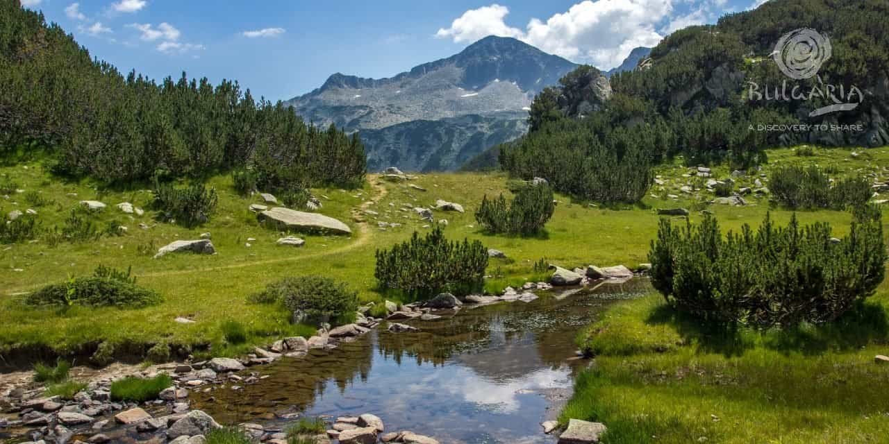 A serene stream flowing through a lush green field with majestic mountains in the distance.