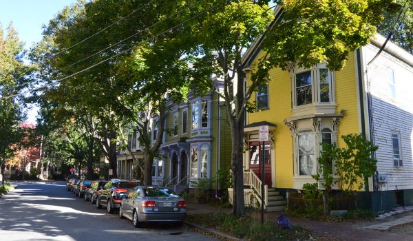 Tree-lined residential street