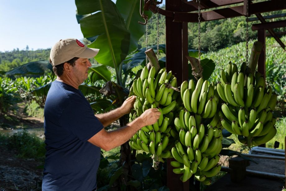 Local food in Puerto Rico