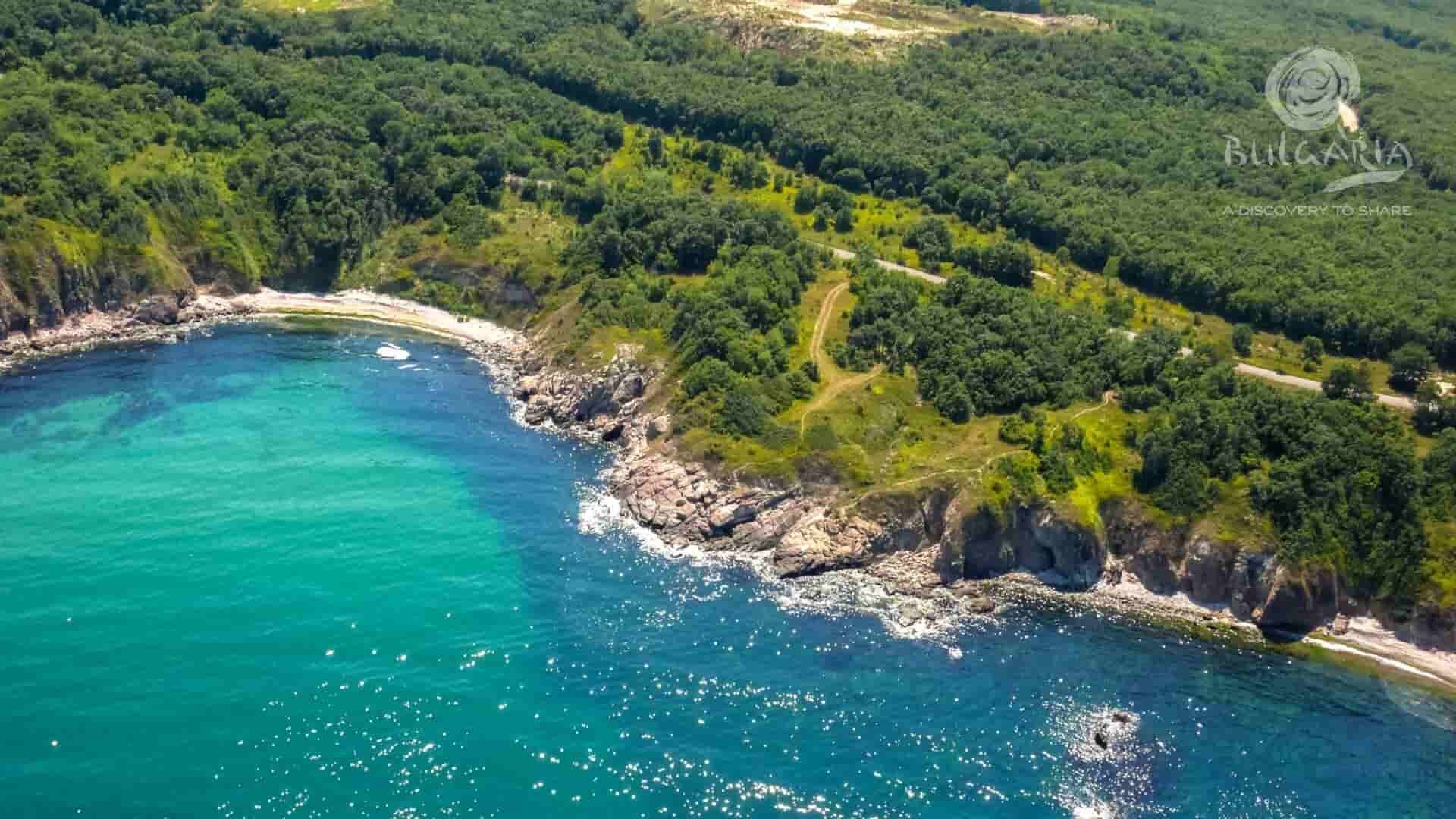 an aerial view of a rocky beach with trees and a body of water